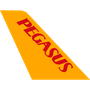 Pegasus
